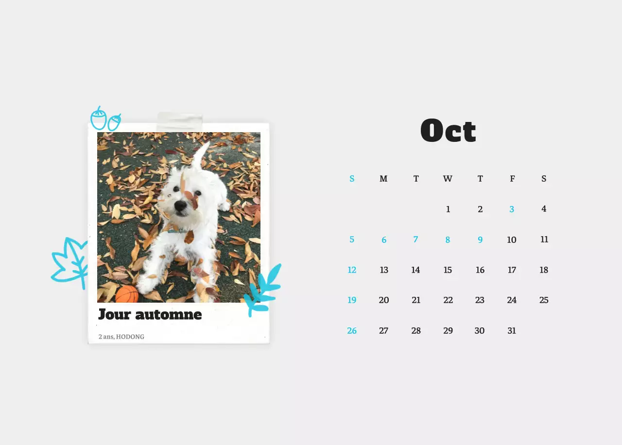 Calendrier photo blanc Neat Ballet Animal