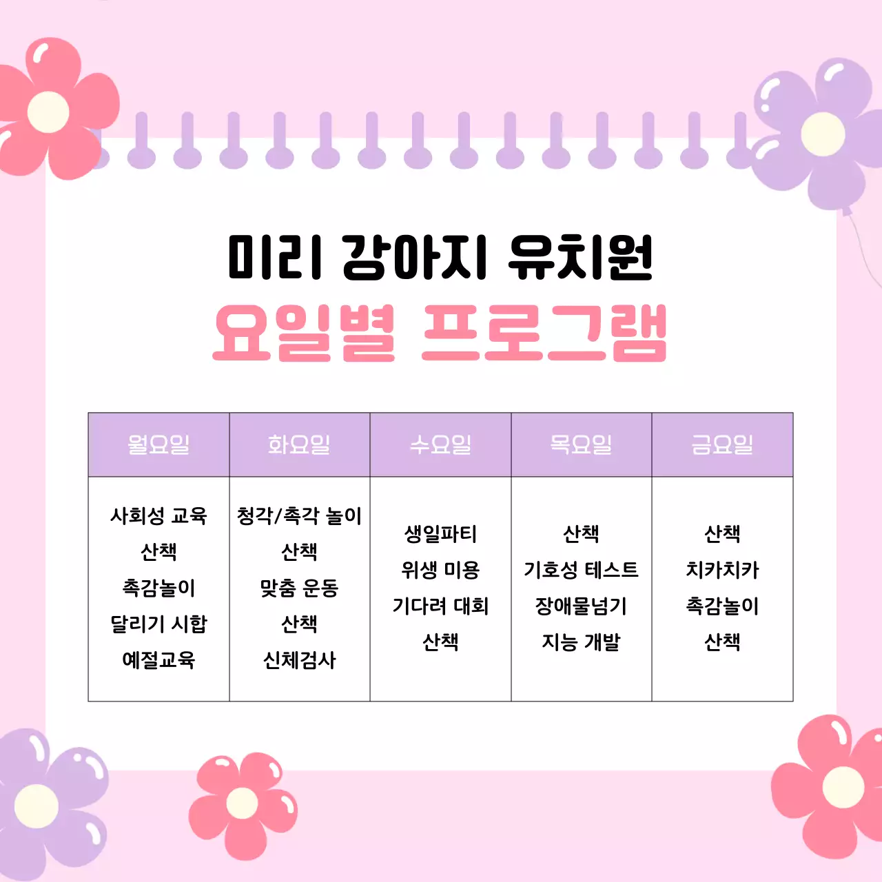 핑크 아기자기한 반려동물 홍보