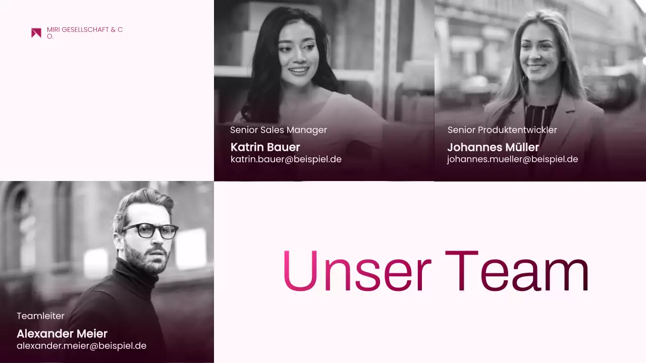 rosa modernes Projektvorschlagsdokument