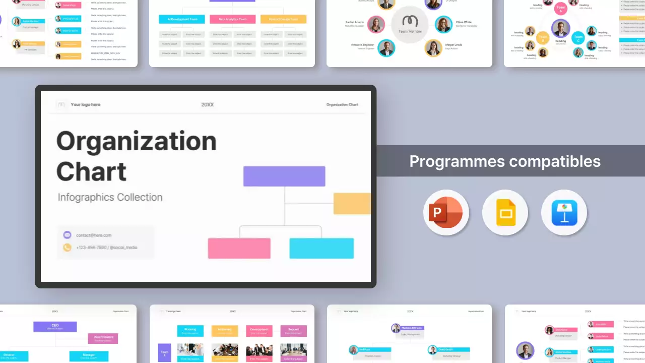 organigramme simple et coloré - infographie