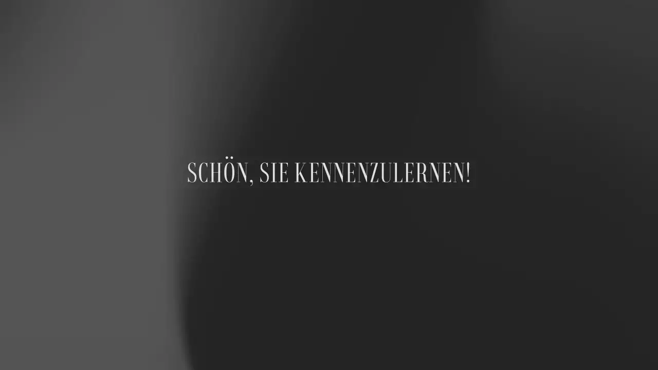 graue ästhetische klassische einführung portfolio präsentation