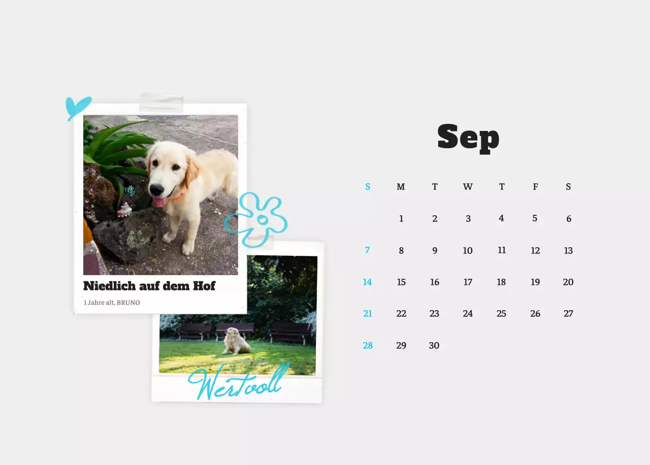 Weißer Neat Ballet-Tier-Fotokalender