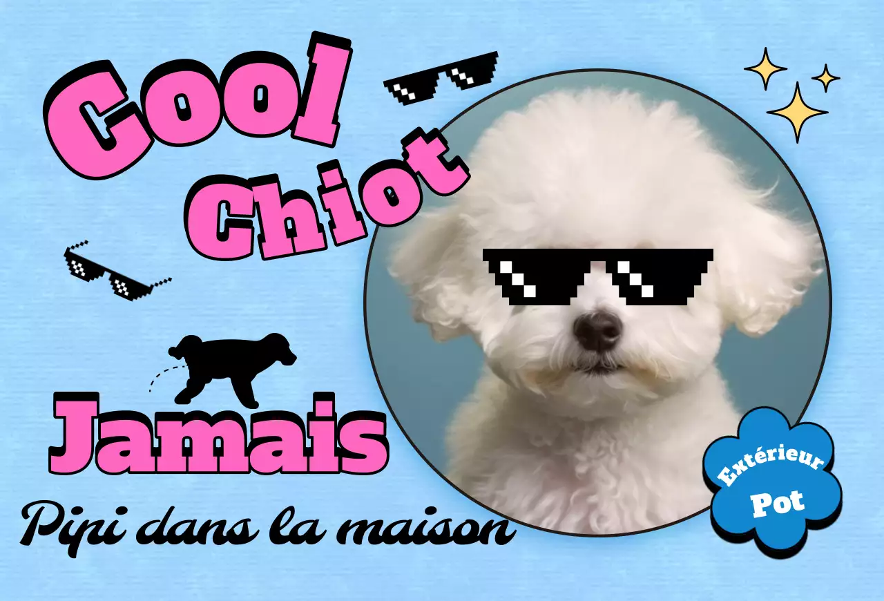 Carte postale Pop Pet Photocard