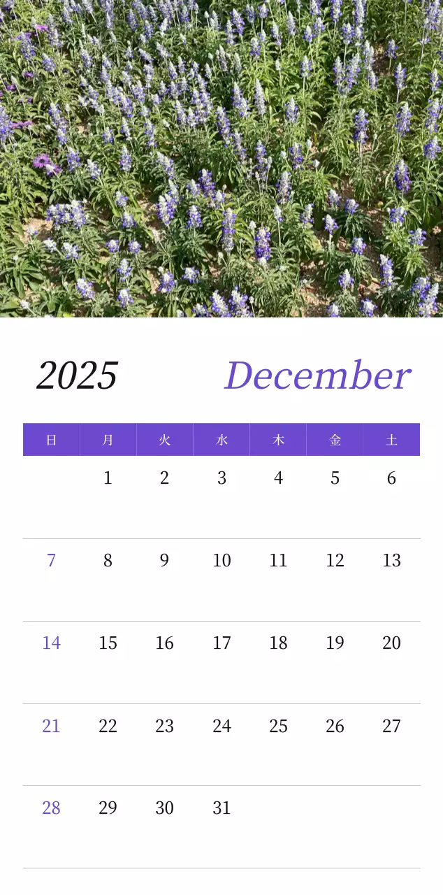 カラフルで高級感のあるフラワーカレンダー
