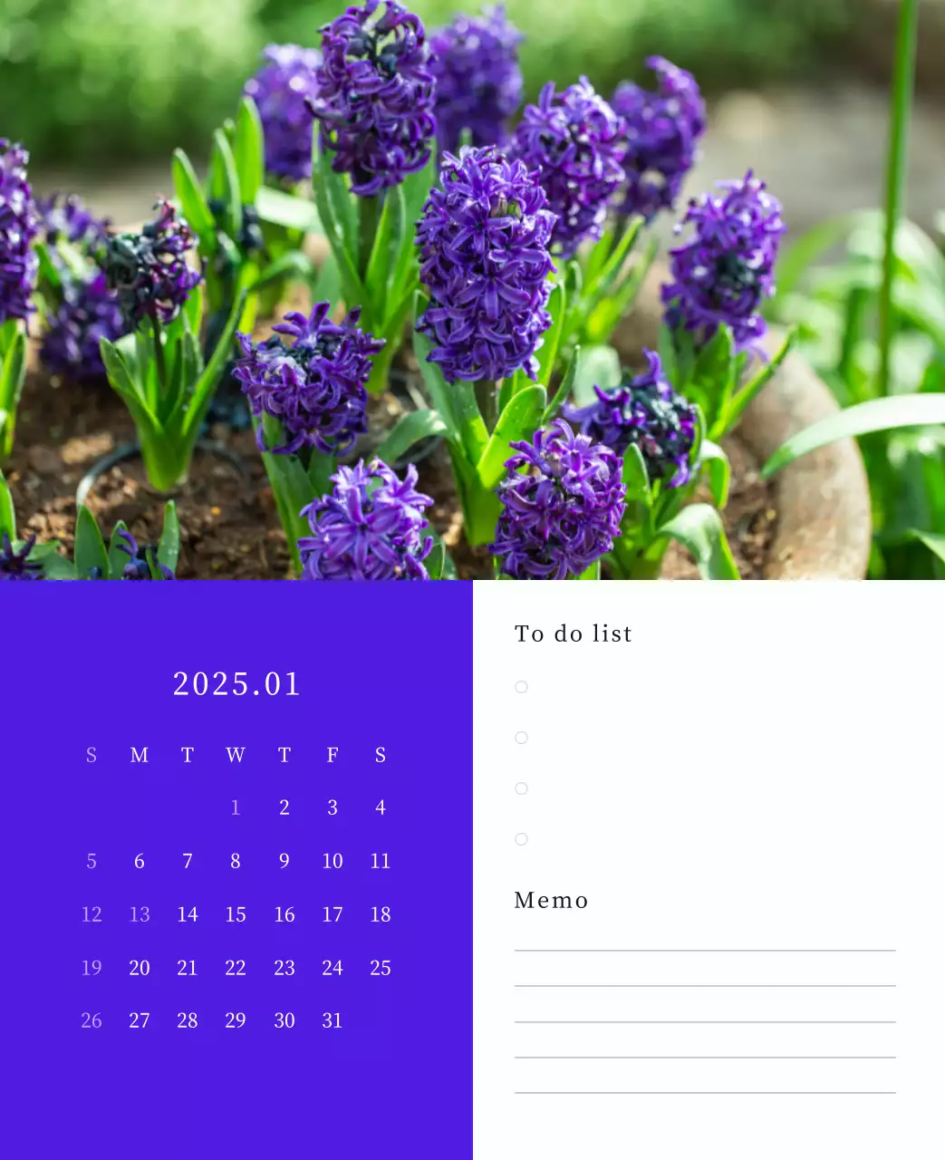 カラフルで高級感のあるフラワーカレンダー