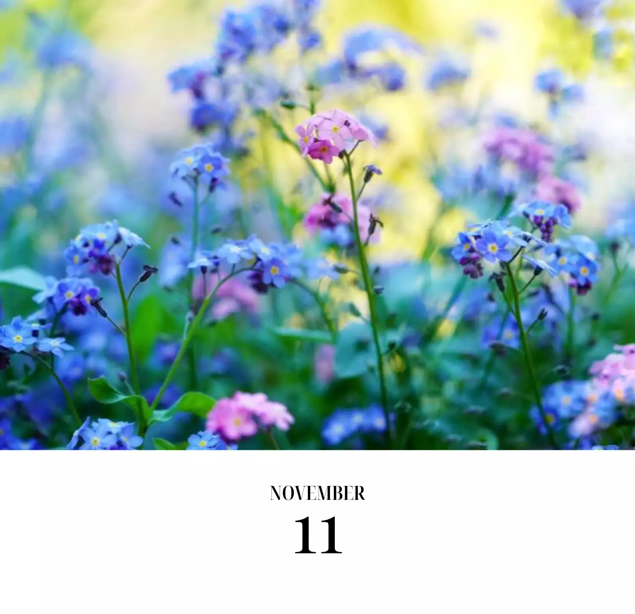 黒と白のシンプルな花写真2025年版カレンダー