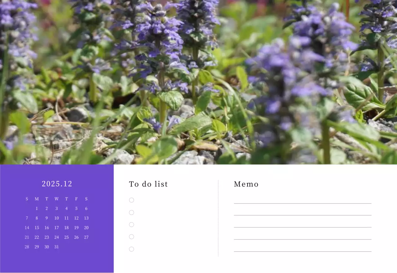 カラフルで高級感のあるフラワーカレンダー