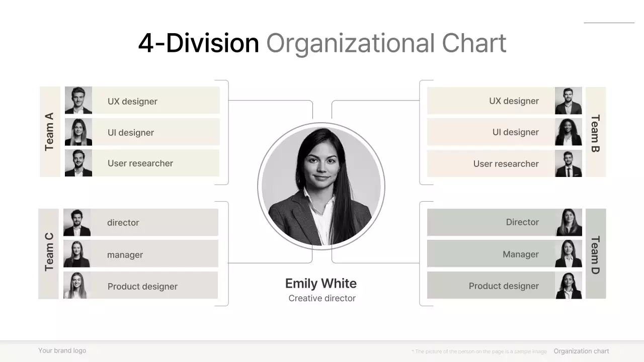 Grey Professional Organizational Template Presentation