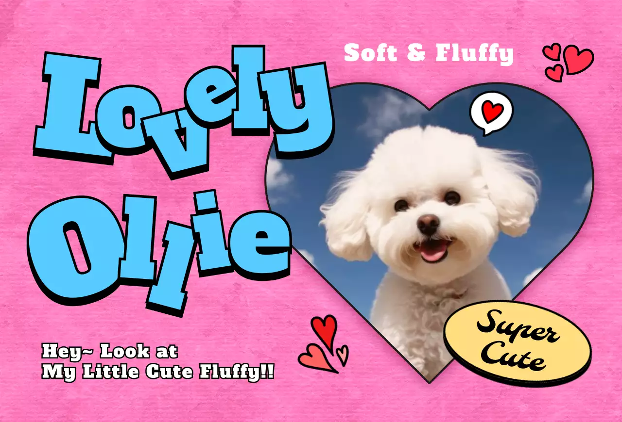 팝 반려동물 포토카드 엽서