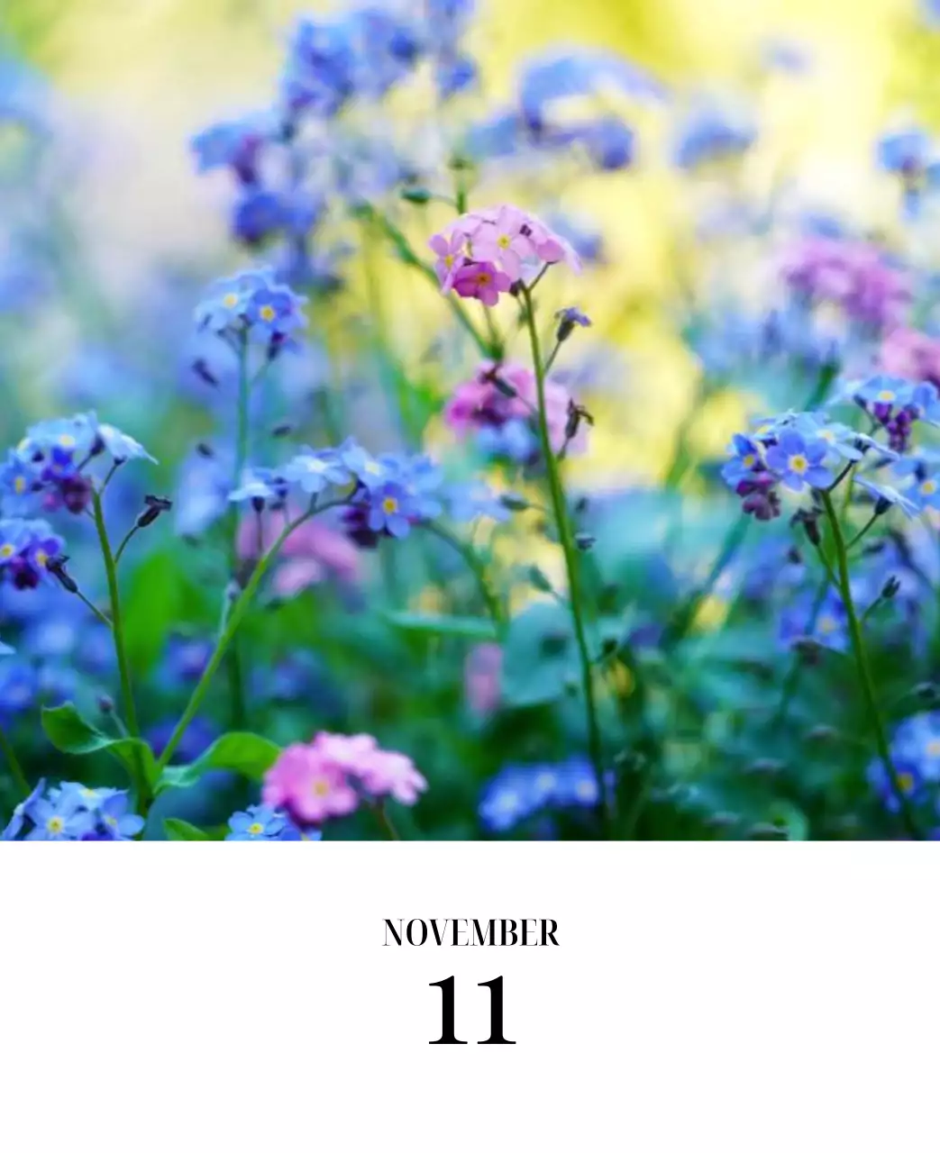 黒と白のシンプルな花写真カレンダー