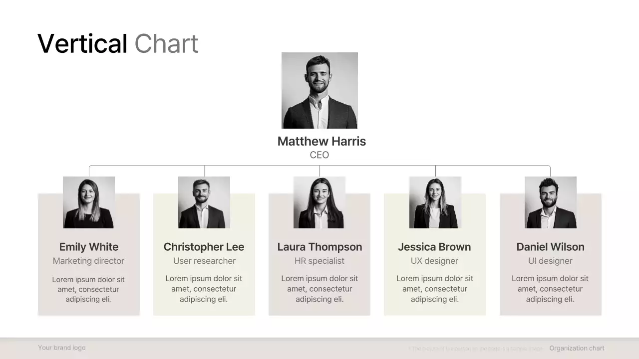 Grey Professional Organizational Template Presentation