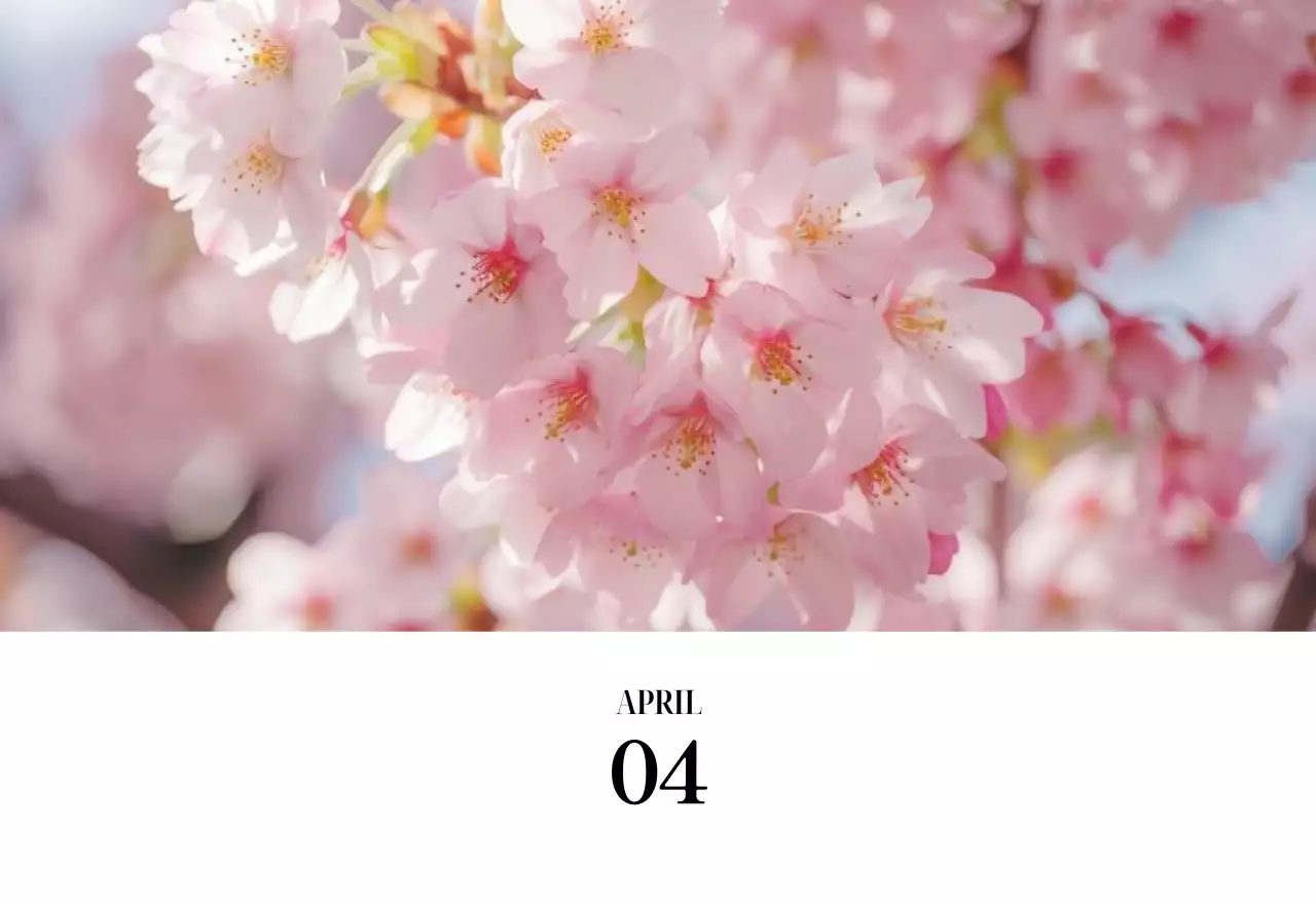 黒と白のシンプルな花写真カレンダー