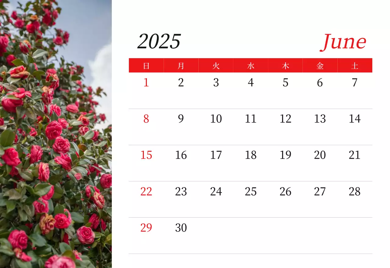 カラフルで高級感のあるフラワーカレンダー