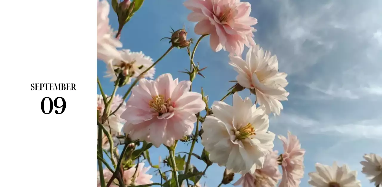 黒と白のシンプルな花写真2025年版カレンダー