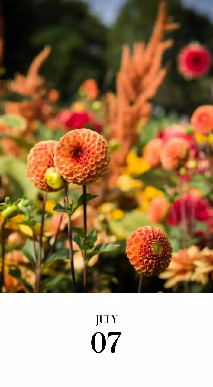 黒と白のシンプルな花写真2025年版カレンダー