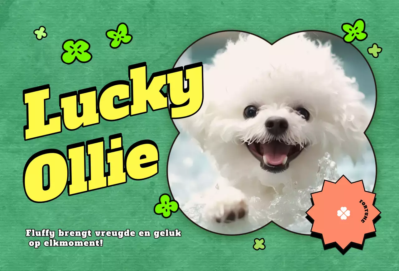 Pop Huisdier Fotokaart