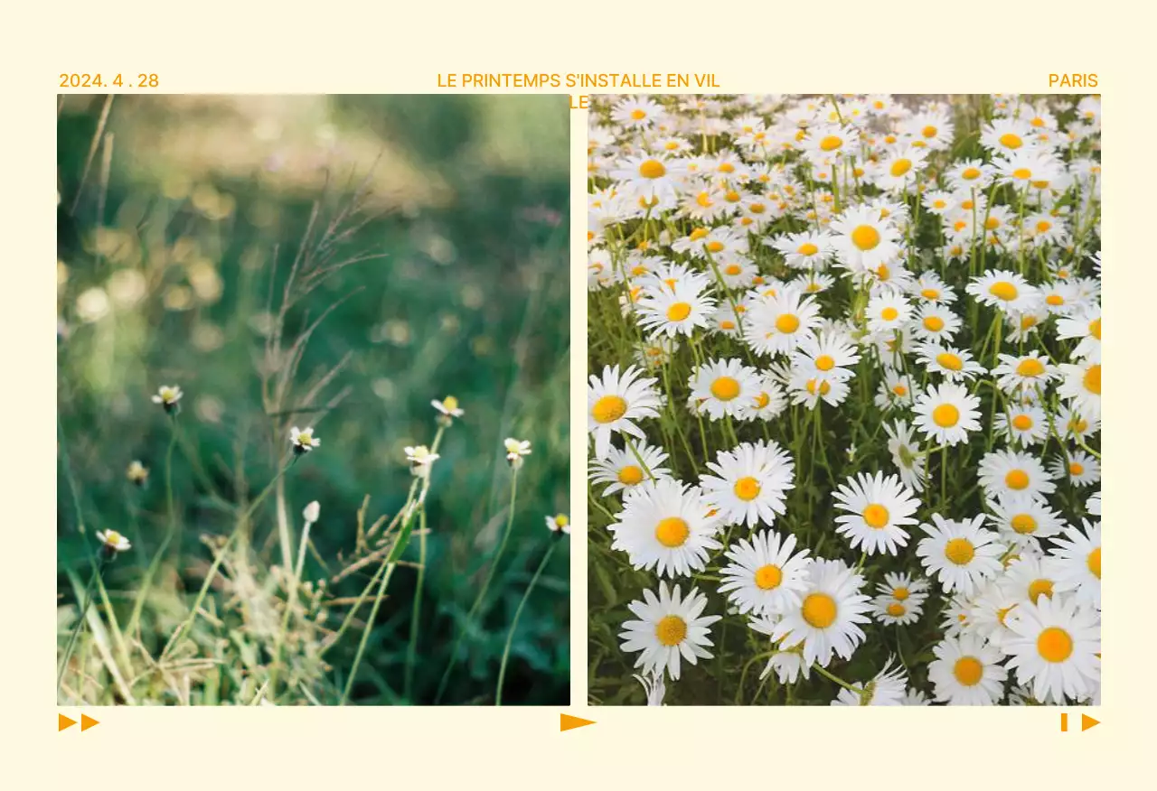 Set de cartes postales de la nature verte de l'île de Jeju