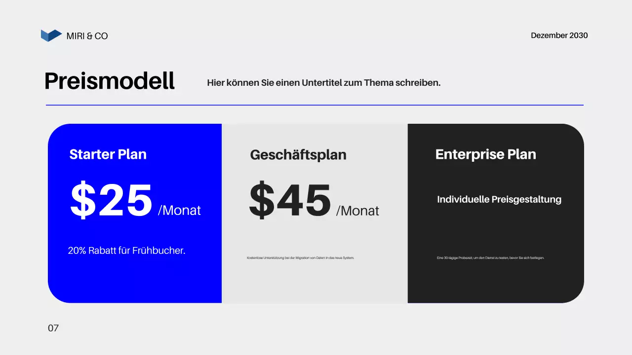 Blue Modern Business Plan