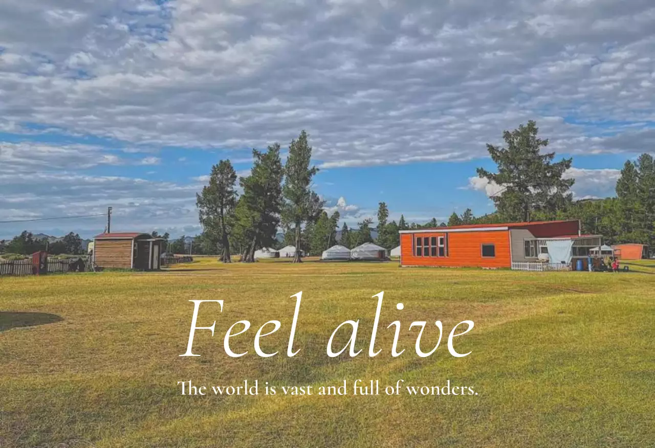 초록 자연 제주도 여행 엽서세트