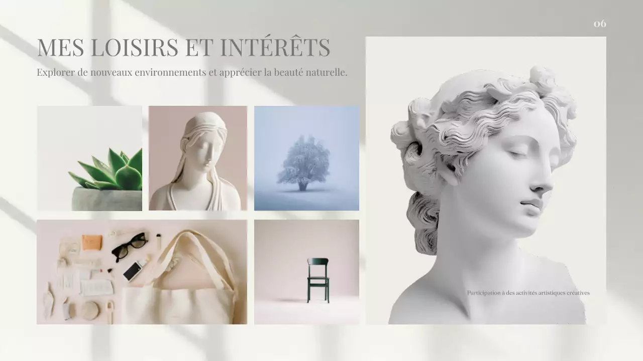 Clean Aesthetic A propos de moi Profil Introduction Présentation pour les professionnels