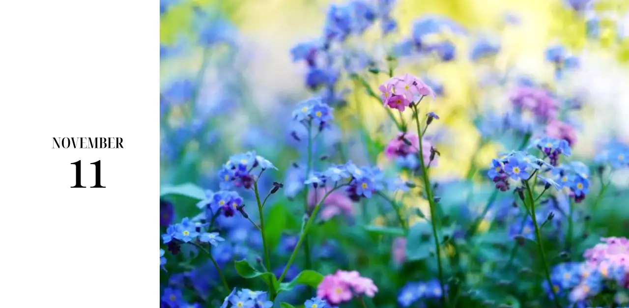 黒と白のシンプルな花写真2025年版カレンダー