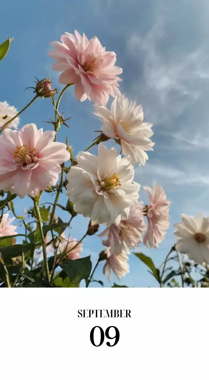 黒と白のシンプルな花写真2025年版カレンダー