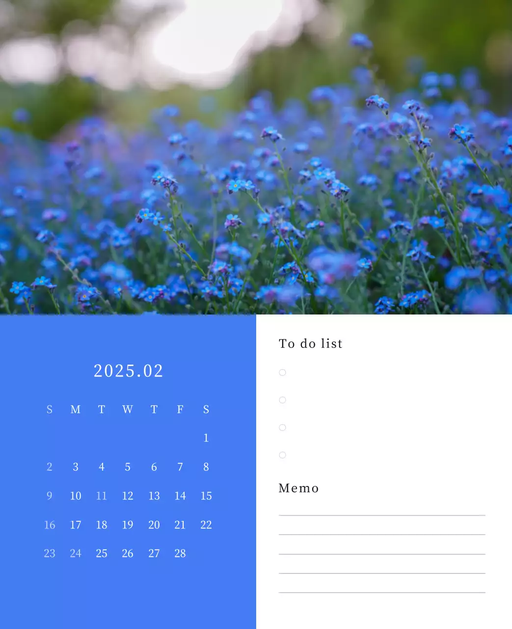カラフルで高級感のあるフラワーカレンダー