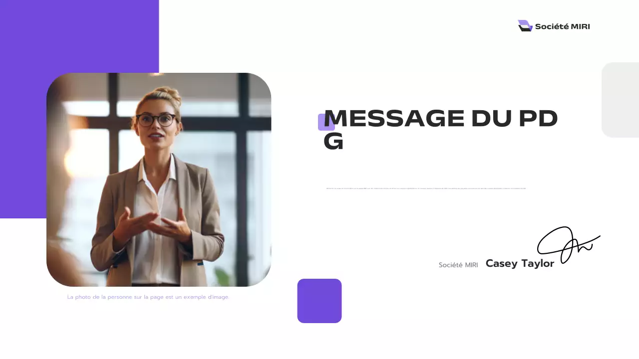 rapport d'activité moderne violet