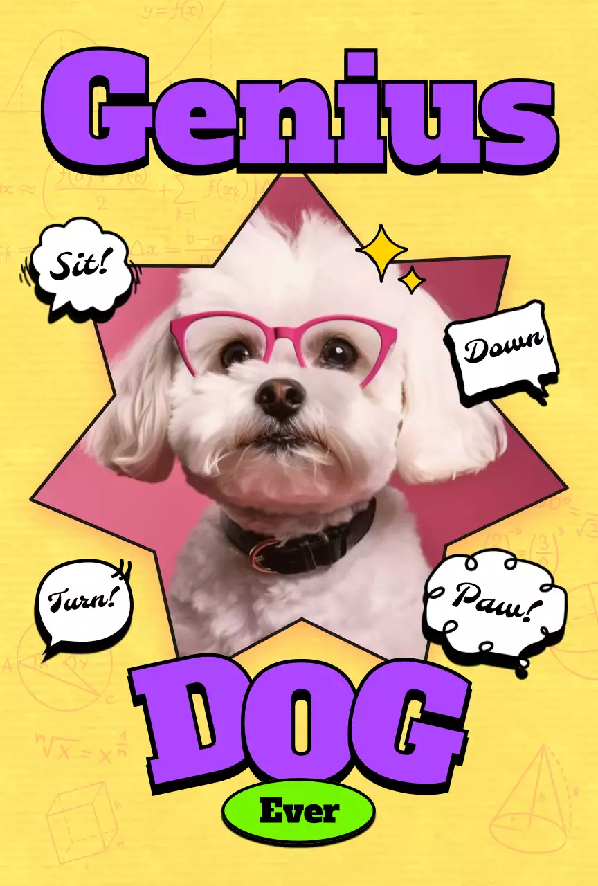 팝 반려동물 포토카드 엽서