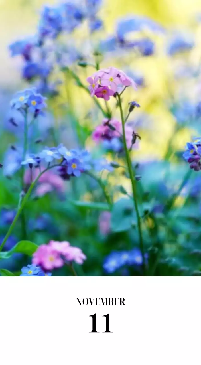 黒と白のシンプルな花写真2025年版カレンダー