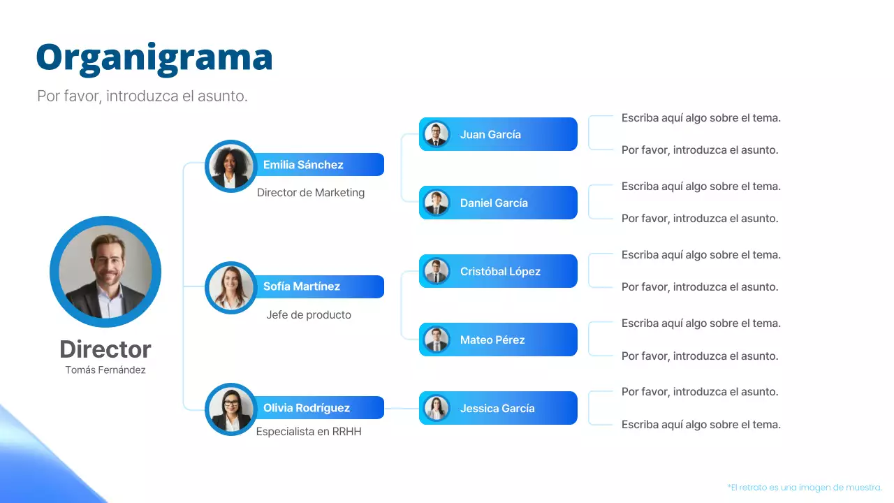 diseño de organigrama simple azul