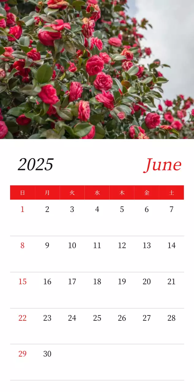カラフルで高級感のあるフラワーカレンダー