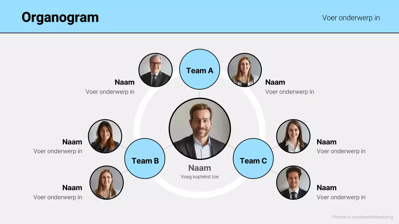 blauwe basisindeling organigram