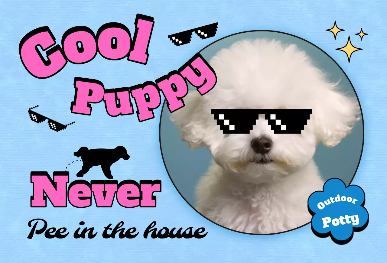 Pop Pet Photo Card Postcard