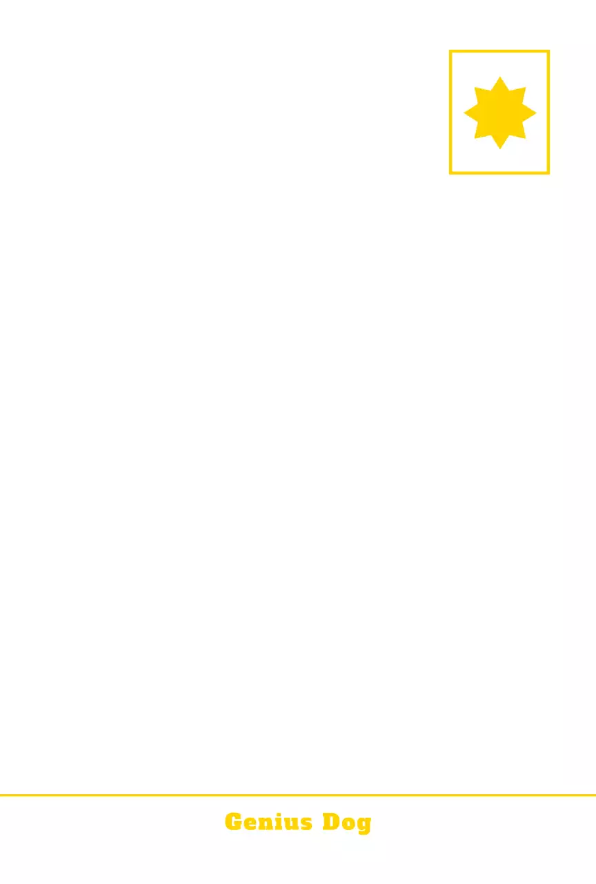 Carte postale Pop Pet Photocard