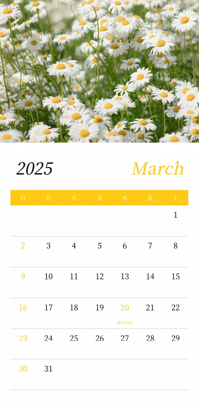 カラフルで高級感のあるフラワーカレンダー