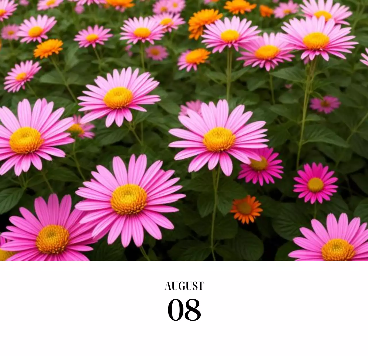 黒と白のシンプルな花写真2025年版カレンダー