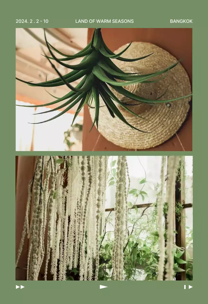 Conjunto de postais de viagem da natureza abstrata