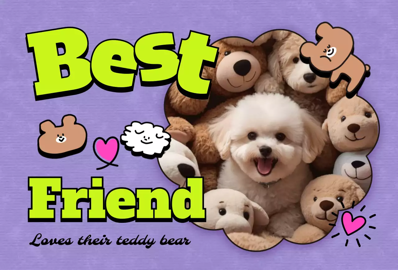 팝 반려동물 포토카드 엽서