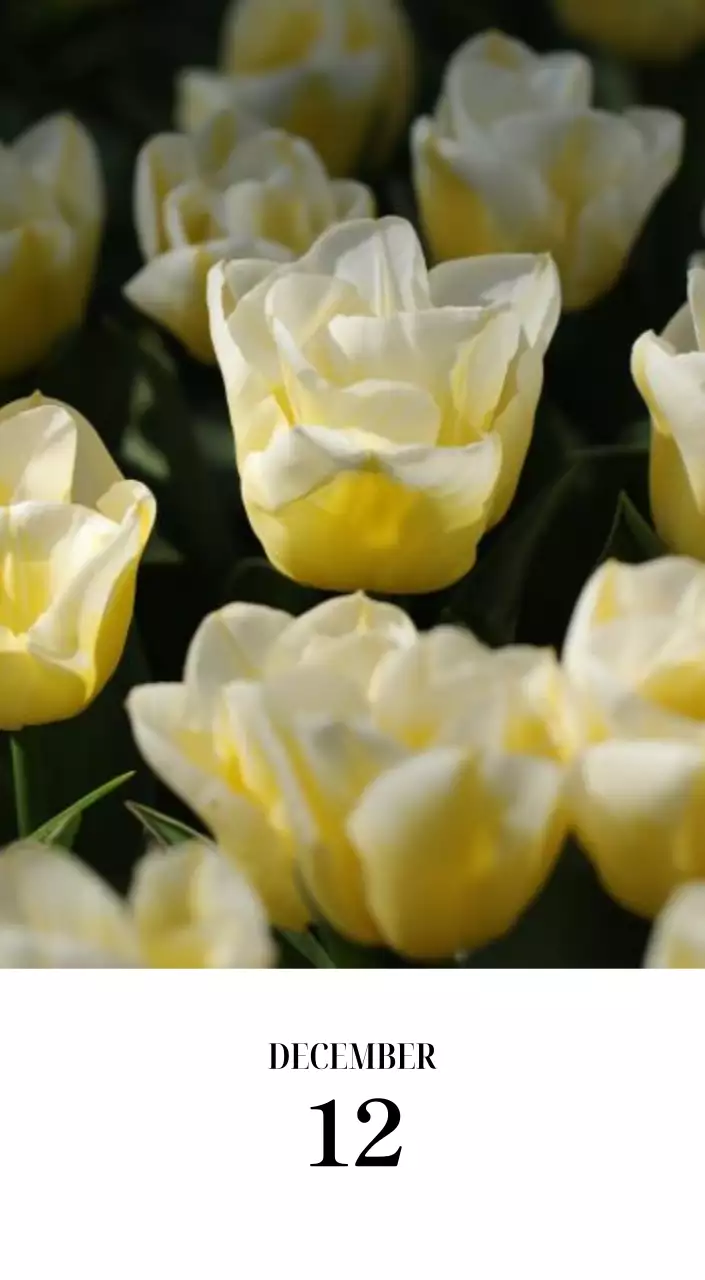 黒と白のシンプルな花写真2025年版カレンダー