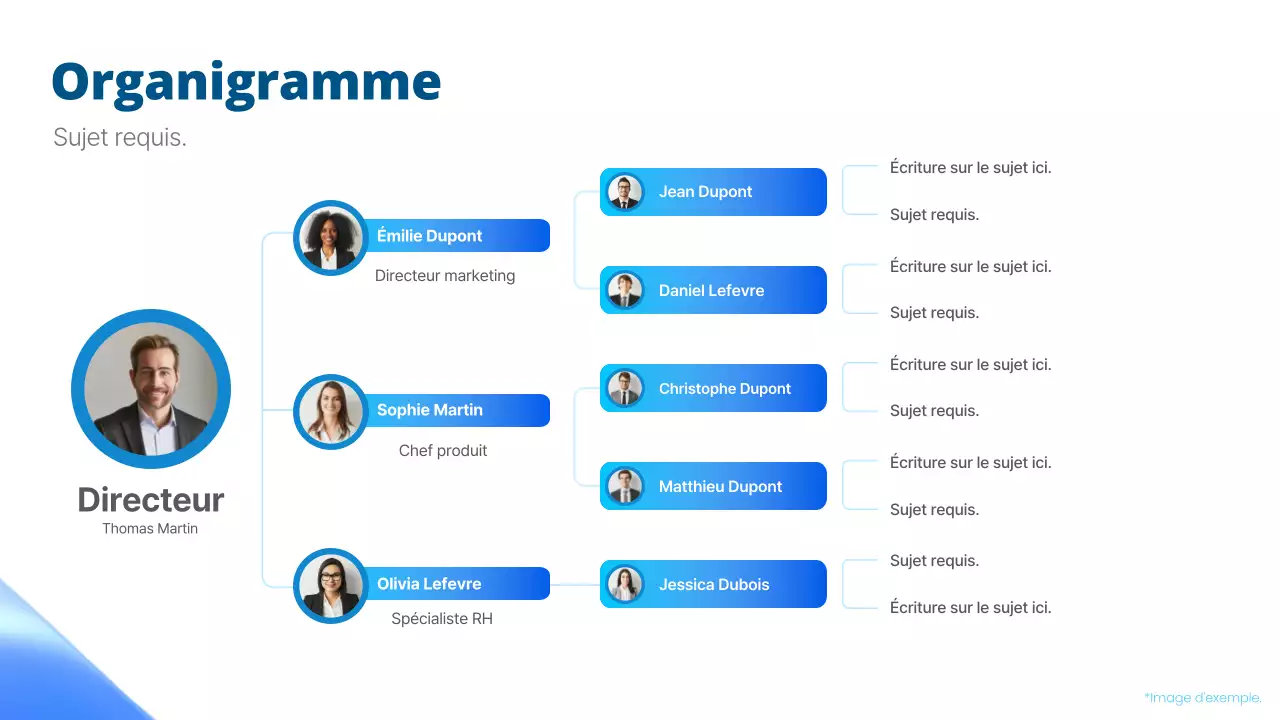 organigramme bleu simple
