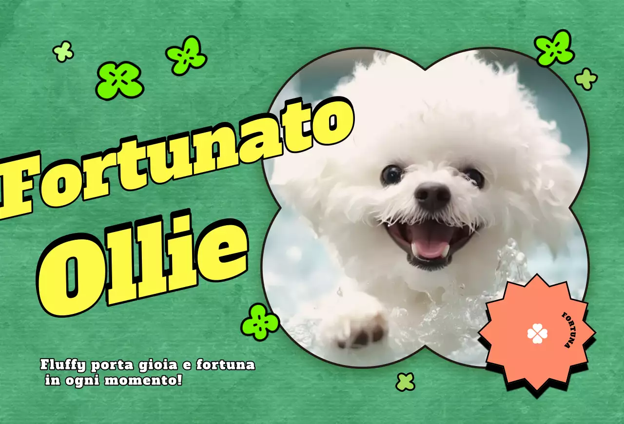 Cartolina Pop Pet Photocard