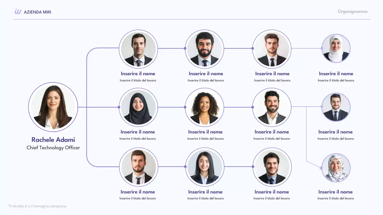 collezione moderna di organigrammi viola