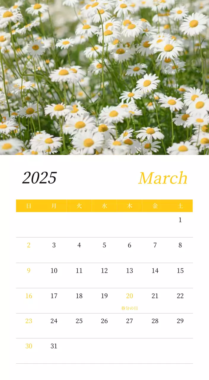 カラフルで美しい花のカレンダー