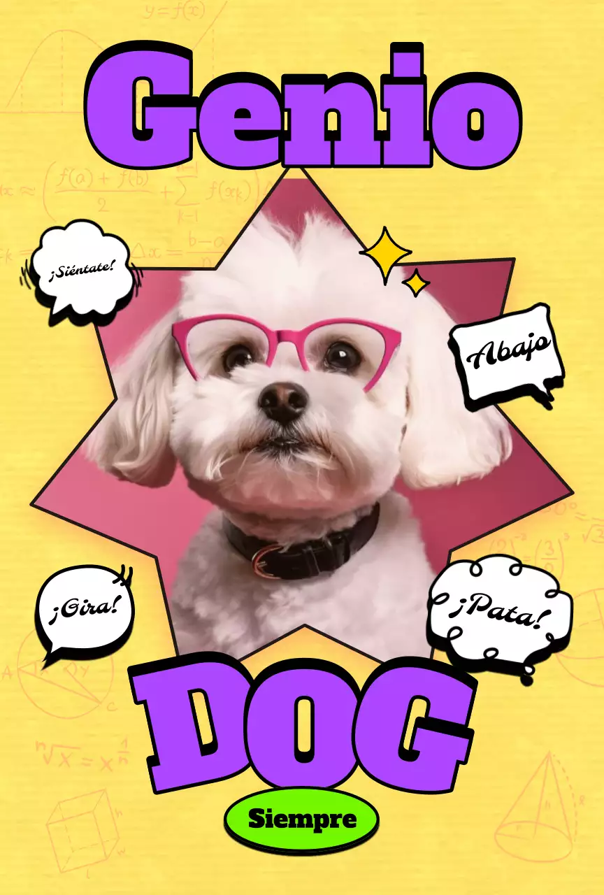 Postal Pop Pet Photocard