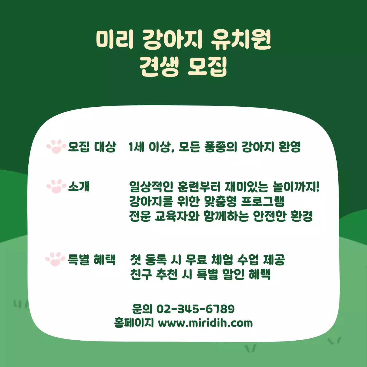 초록 아기자기한 강아지 유치원 안내