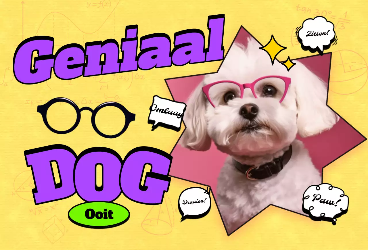 Pop Huisdier Fotokaart