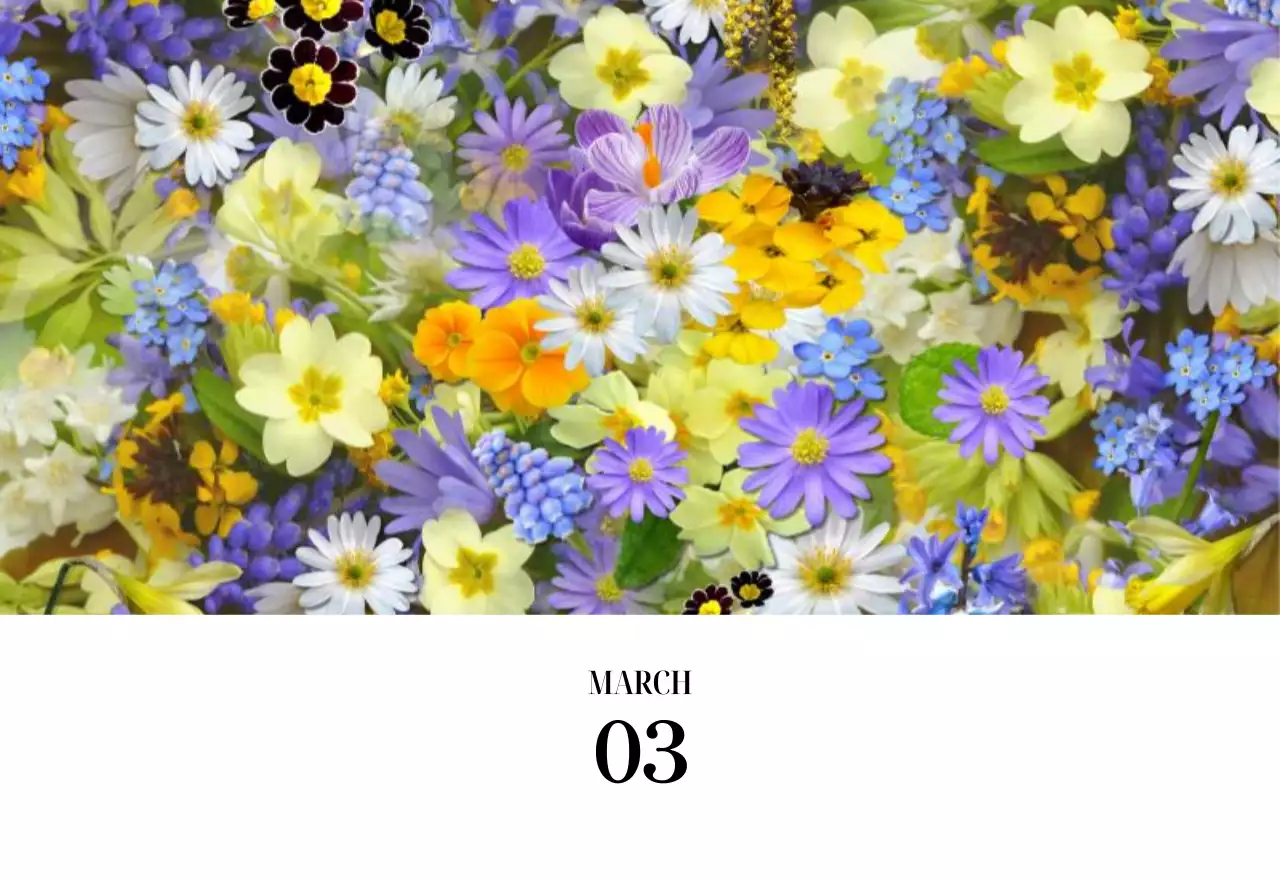 黒と白のシンプルな花写真カレンダー