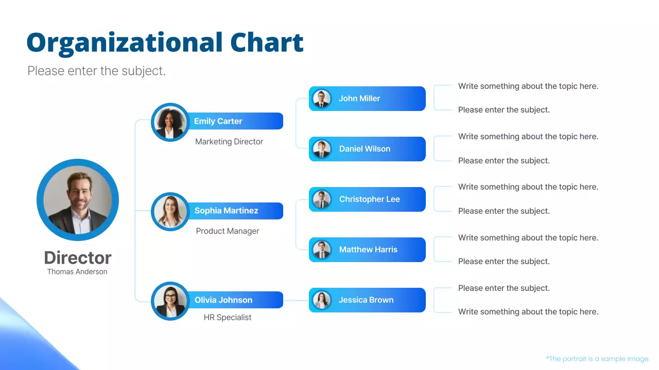 Blue Professional Organization Chart Infographic