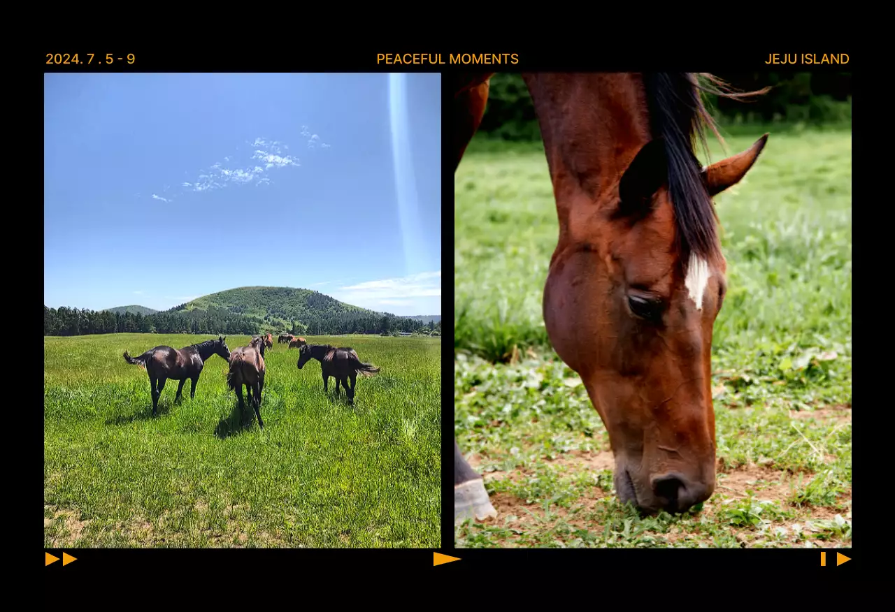 Abstract Nature Jeju Island Travel Postcard Set